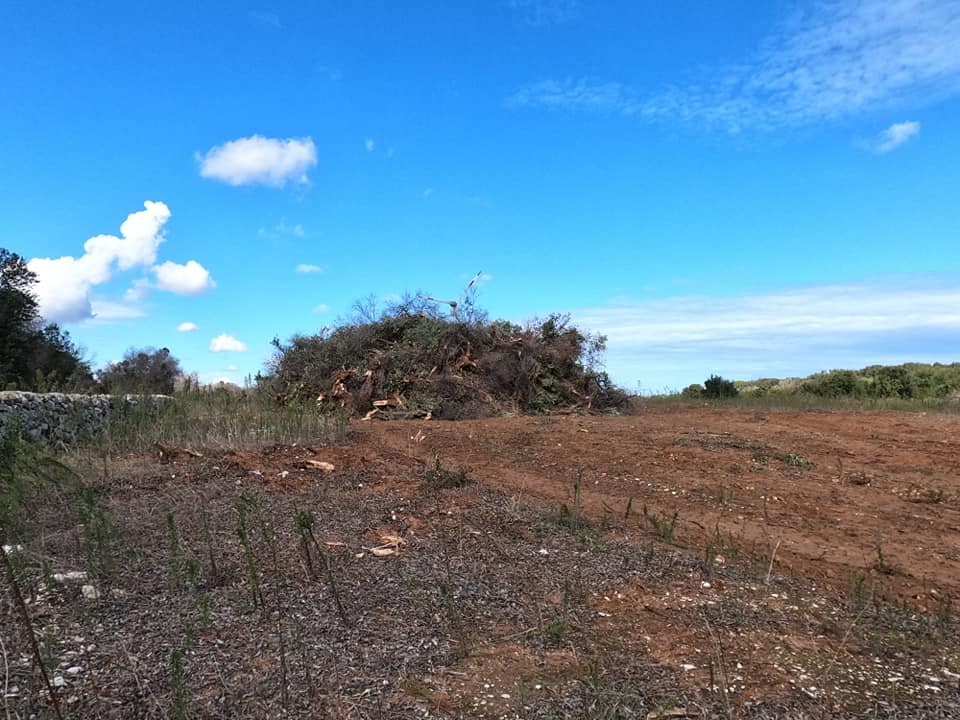 5gallery-italbioenergy