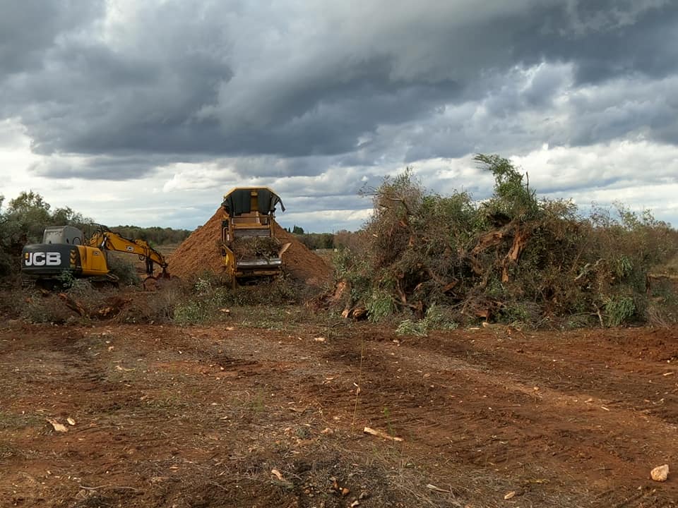 8gallery-italbioenergy